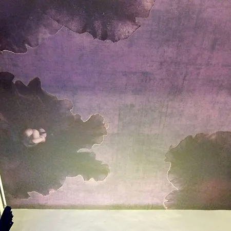 Maison Fleurie فندق مبيت وإفطار 4*