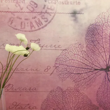 Maison Fleurie לינה וארוחת בוקר פסקרה